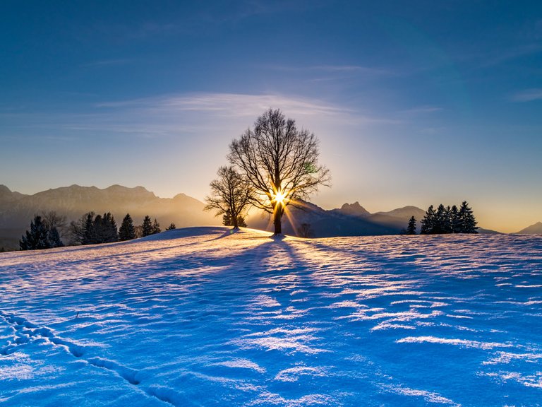 ruhiges Winterbild mit verschneiter Wiese und Baum durch den Sonnenstrahlen fallen