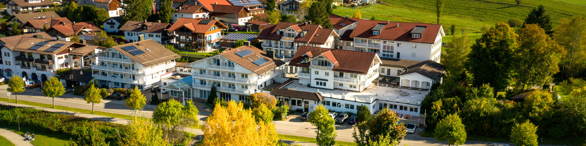 Karriere im Alpreflect